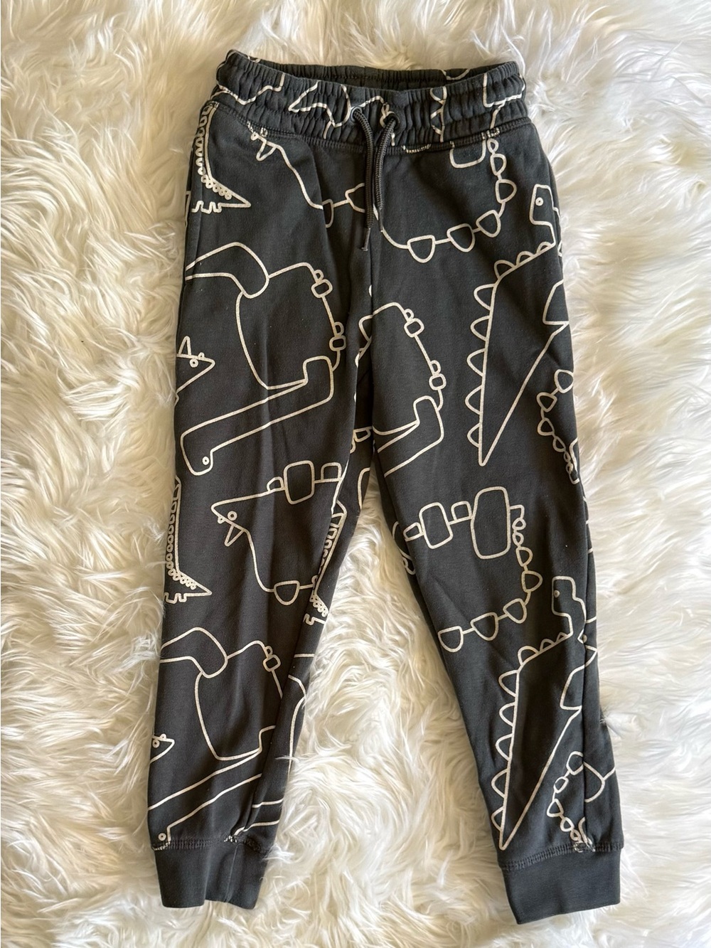 Dinosaur Print Joggers